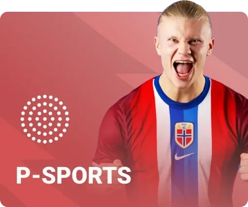 SKY88 – Nhà Cái Cá Cược Trực Tuyến Hàng Đầu Châu Á 6 psport